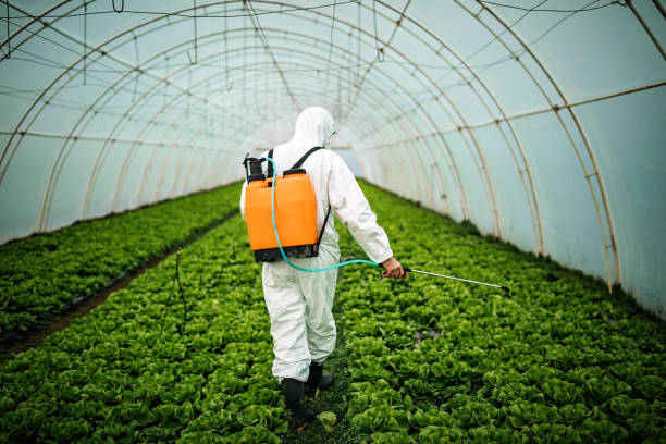 Best Local Pest Control Services  in Macclenny, FL