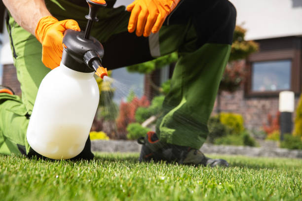 Reliable Macclenny, FL Pest Control Solutions